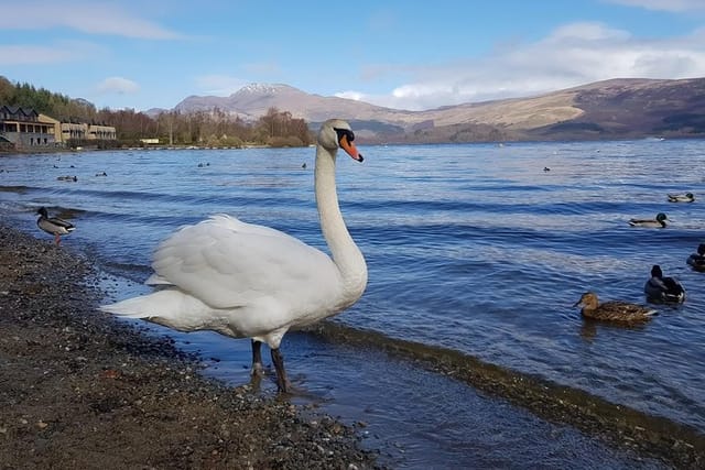 Wildlife and scenery